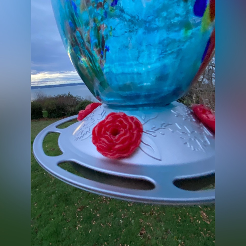 Glass Hummingbird Feeder 27oz Blown Glass Humming Bird - Roses & Ant Moat - Picture 7 of 13